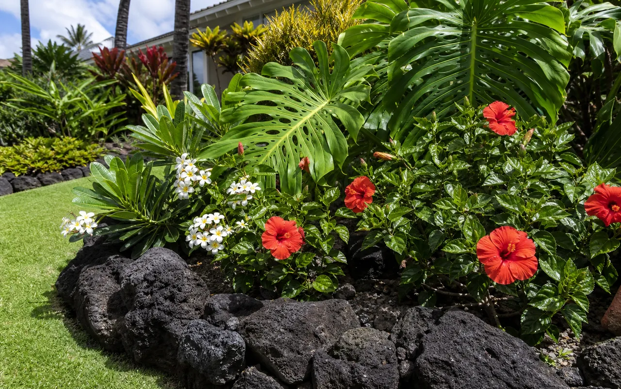 Manicured tropical garden bed with hibiscus and plumeria