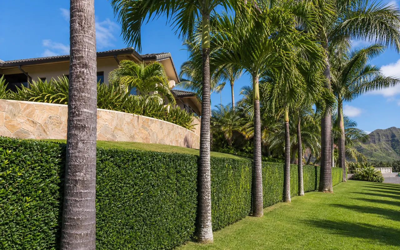 Neatly trimmed hedges and palms